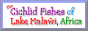 The Cichlid Fishes of Lake Malawi, Africa